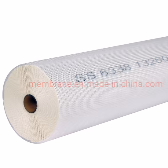 Membrane RO de conception sanitaire et compacte à ajustement complet pour les industries alimentaires, des boissons, laitières, biotechnologiques et pharmaceutiques / 8038/6338
